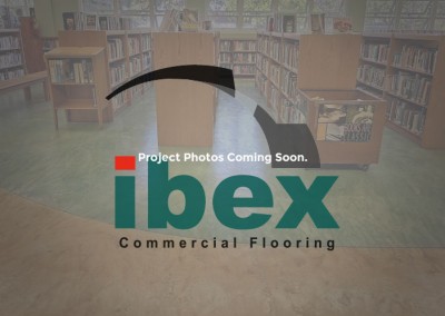 ProjectDetailPlaceholder