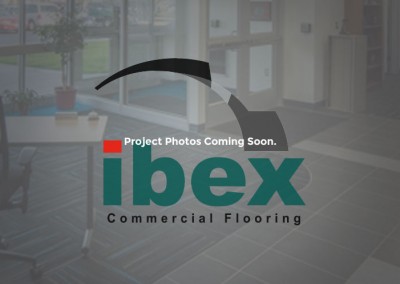 ProjectCorporateDetailPlaceholder